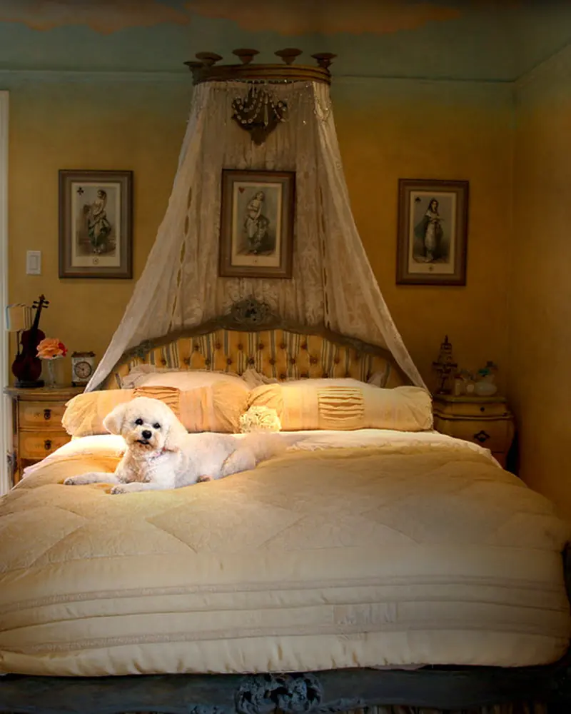 Guest Bedroom interior in the Classic Luxe style