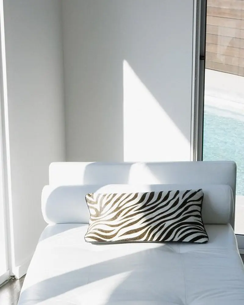 Window interior in the Bold Contemporary style